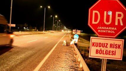Adıyaman'da kuduz tehlikesi! Bir belde karantinaya alındı