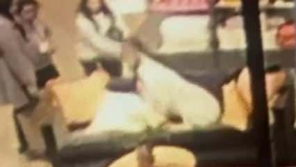 AVM'de sahipsiz köpek dehşeti! 3 yaşındaki çocuğun yüzünü ısırdı