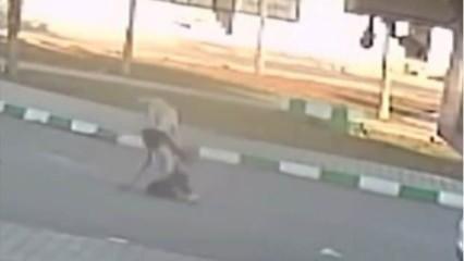 Gaziantep'te 3 öğrenciye sokak köpekleri saldırdı