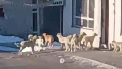 Bürokratlardan kanunu çiğneyen talimat! Vatandaş isyan etti