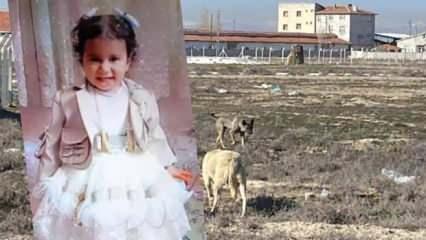 K&ouml;peklerin saldırısında &ouml;len 2 yaşındaki Rana &uuml;zerinden uydurulan &ccedil;irkin iddialara tepki