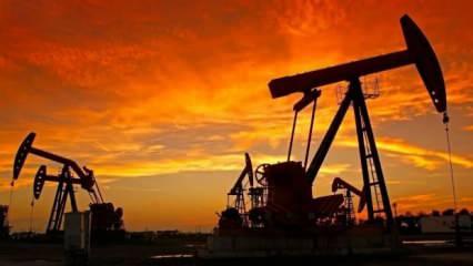 Petrolde y&uuml;kselişin devamını endişeler engelliyor