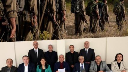 PKK’nın silahları nereye bırakacağı dahi belirlendi! Sürecin detayları netleşti