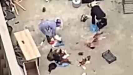 Şehrin göbeğinde kestiler! İnsan sağlığı hiçe sayıldı 