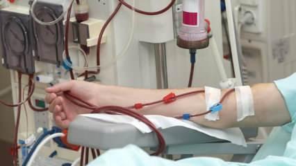 Böbreği bozup hastaneye düşürüyor! Obezite ile diyabetin zararları saymakla bitmiyor
