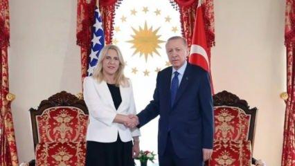 Cumhurbaşkanı Erdoğan, Jelka Sviyanoviç ile görüştü