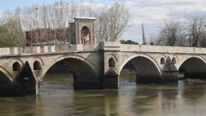 Edirne'de kuraklık çeltik üretim sürecini tehdit ediyor
