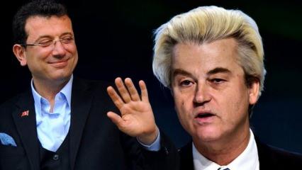Geert Wilders'tan İmamoğlu açıklaması! Başkan Erdoğan'a küstah hakaretler