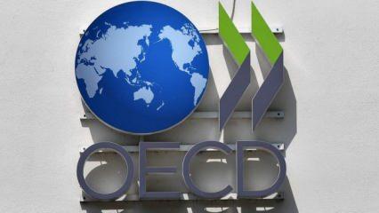 OECD: Küresel borç piyasaları zorlu bir görünümle karşı karşıya