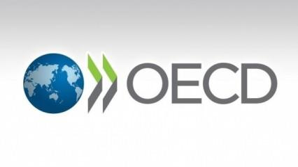 OECD, Türkiye ekonomisi için bu yıla ilişkin büyüme tahminini yüzde 3,1'e yükseltti