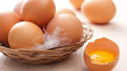 Ölüm riskini %29 azaltıyor! Bu haberden sonra yumurtayı sevmeyenler dahi tüketecek