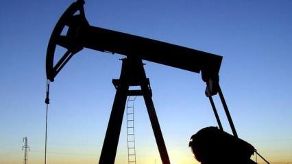 TPAO Siirt’te petrol arama ruhsat sahasını genişletecek