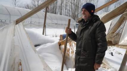 75 yaşındaki çiftçiyi kahreden manzara! 60 yıllık emeği bir gecede yok oldu