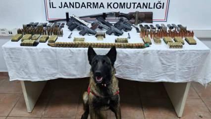 Arı kovanlarından kaçak silah çıktı: 2 gözaltı