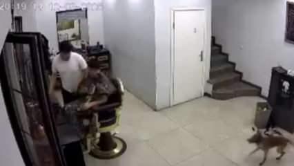 Kocaeli'de zincirini koparan köpek kuaförde traş olan müşteriyi ısırdı