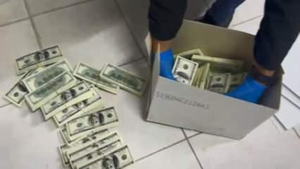 Matbaa kurup deste deste dolar basan şebeke çökertildi