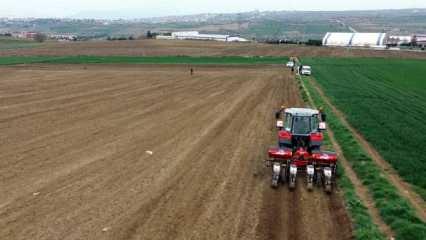 Tekirdağ'da ayçiçeği ekimi başladı: 400 bin ton rekolte bekleniyor