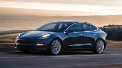 Tesla hisseleri yüzde 12 artışla seçim sonrası en büyük kazancı elde etti