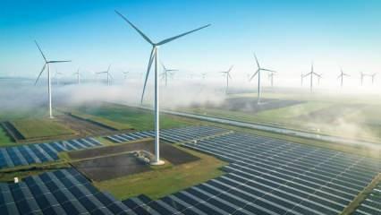 Yenilenebilir enerji kapasite artışında rekor büyüme!