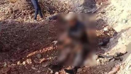 Adıyaman'da feci olay: Akıma kapılan işçi öldü