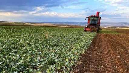 Bakan Yumaklı tarih verdi! Çiftçilere destek ödemesi yapılacak