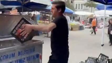 Bakanlık harekete geçti! Kasa kasa domatesi çöpe döktü! Milyonlarca liralık ceza kapıda