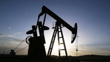 Resmi Gazete'de yayımlandı! Bir şehrimiz için petrol kararı