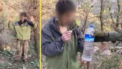 Teröristin ifadesi: Açlık ve sefalet içinde teslim olmaktan başka çarelerimiz kalmadı