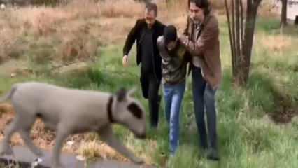 430 bin lira değerindeki köpeği çalan hırsız yakalandı