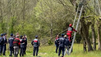Budama yapacaktı: 69 yaşındaki adam çıktığı ağaçta can verdi!