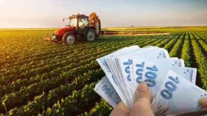 Çiftçilere müjdeli haber geldi: Mazot ve gübre destek ödemesinin tarihi belli oldu!