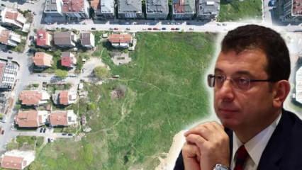 Ekrem İmamoğlu'nun tapularını vermediği kooperatifin mağduru canına kıymış