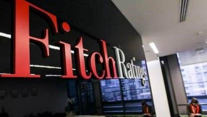 Fitch'ten Türkiye açıklaması: 'Güçlü bir tampon oldu'