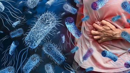 Gıda güvenliği alarmı: Listeria ve E. coli sağlığı tehdit ediyor!