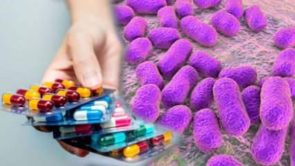 Küresel sağlık tehdidi: Acinetobacter baumannii bakterisine antibiyotikler bile fayda etmiyor!