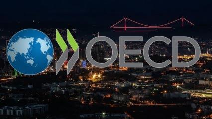 OECD’den Türkiye’ye 'temkinli politika' çağrısı: Büyüme sürüyor, yapısal reformlar kritik