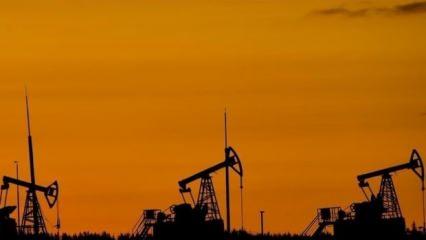 14 yeni petrol ve doğalgaz sahası buldular