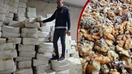 150'ye yakın şubesi vardı: Baklava zincirinin deposunda kurtlanmış cevizler!