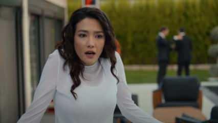 Aybüke Pusat'a yeni bir darbe daha: Talep doğrultusunda iptal edildi!