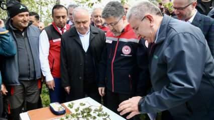 Bakan Yumaklı, zirai dondan etkilenen 16 meyve türü için destek verileceğini bildirdi