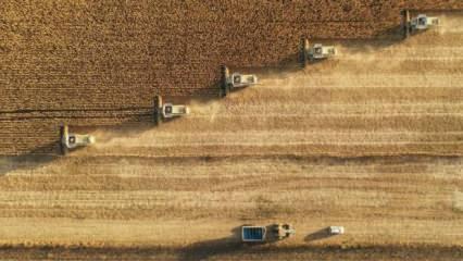 Çiftçilere 6 milyar liralık destek ödemesi bugün yapılacak