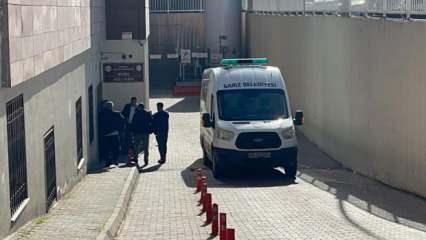 Kayseri'de korkunç olay: Çoban köpeklerinin saldırdığı adam hayatını kaybetti