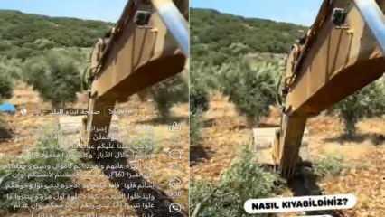 Muhaliflerin algı operasyonu çöktü! Filistin'deki ağaç katliamı Hatay'da gibi gösterildi