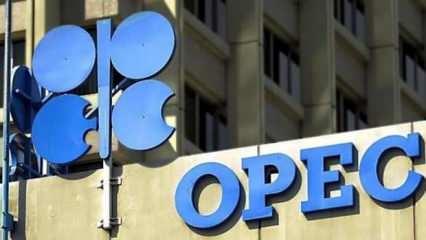 OPEC küresel petrol talebi tahminini aşağı çekti