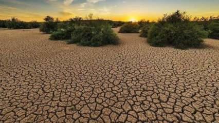 T&uuml;rkiye son 35 yılın en kurak mart ayını yaşadı