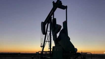 ABD'nin ticari ham petrol stokları 200 bin varil arttı