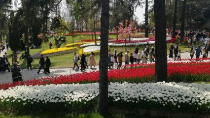 B&uuml;t&uuml;n İstanbullular davetli: Milyonlarca lale sizi bekliyor