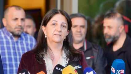 DEM Parti Heyeti'nden İmralı görüşmesi sonrası açıklama! 'Görüşme verimli geçti'