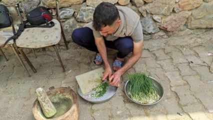 Doğada kendiliğinden yetişiyor! Kilogramı 10 bin TL'den satılıyor 