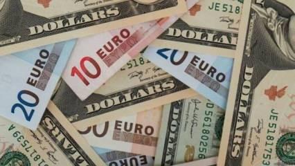 Dolar etkisini kaybediyor! Yatırımcıların tercihi Euro ve Sterlin oldu!